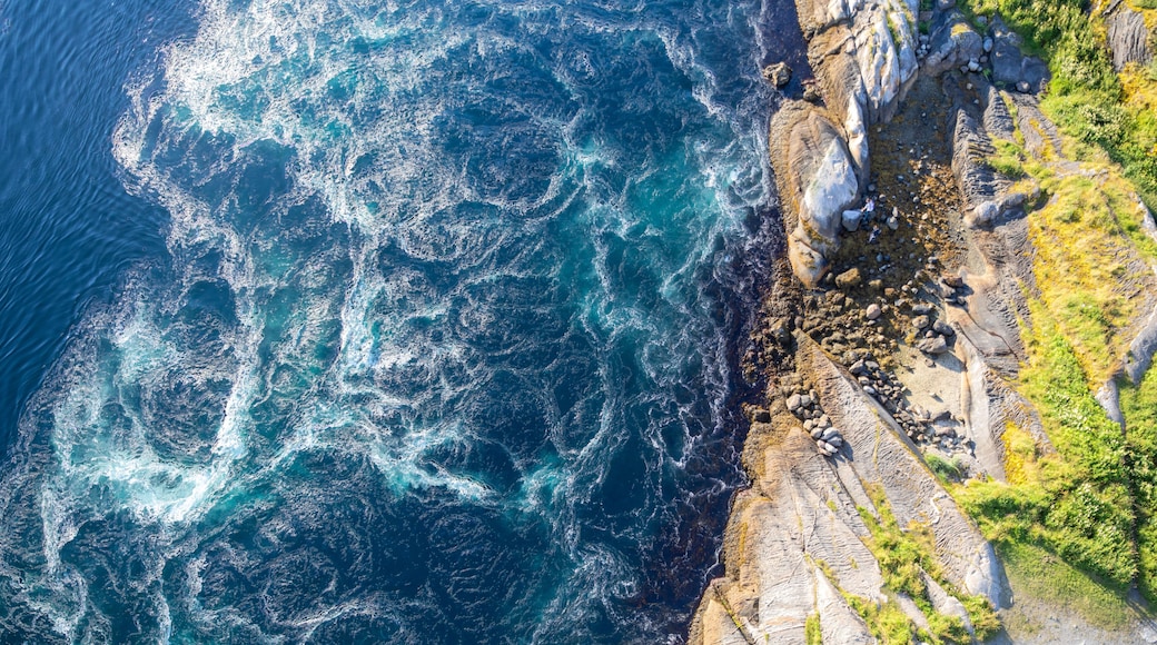 Saltstraumen