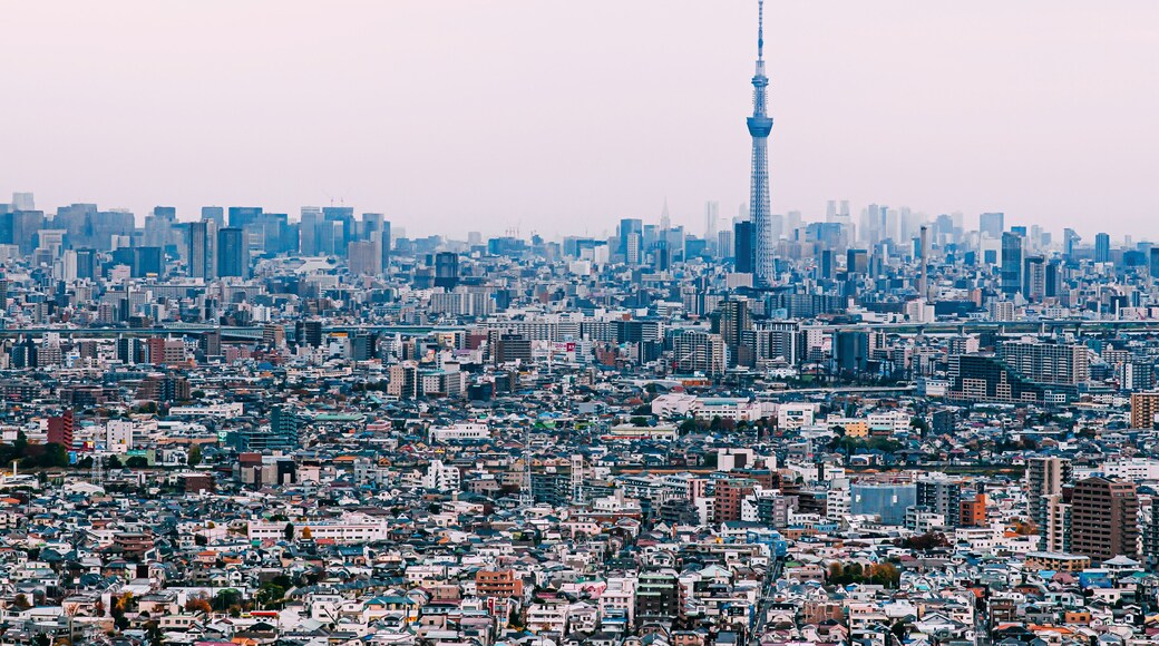 นิชิคาไซ