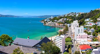 Oriental Bay