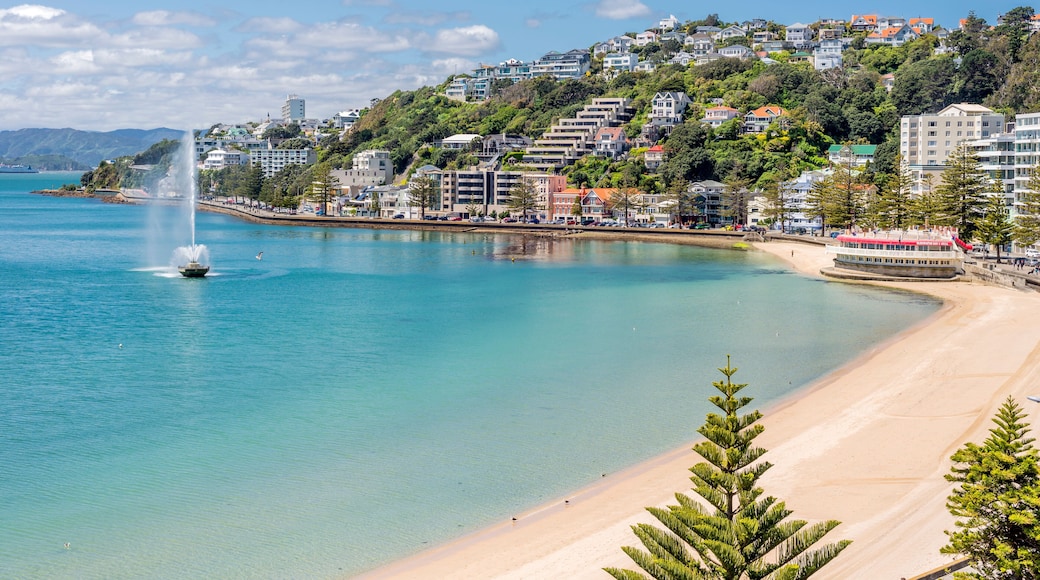 Wellington's Oriental Bay on a clear spring day