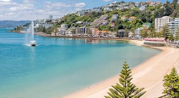 Oriental Bay