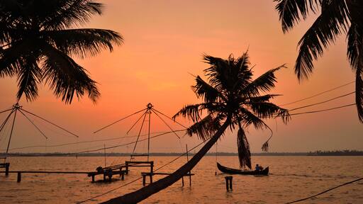 Silhouette of coconut trees along with chinese fishing nets in kumbalangi, a suburb of kochi during sunset.
