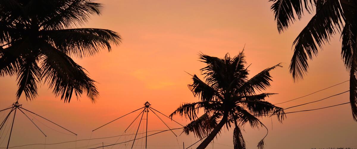 A sunset over a calm sea with palm trees silhouetted against the sky, a boat, and fishing nets.
