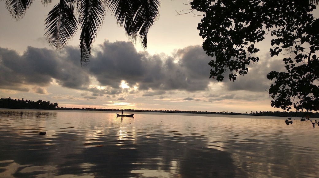 Evening at West Wind Homez, Kumbalangi, Cochin, Kerala