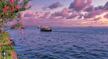 Beautiful landscape with a house boating in marine drive, Kochi, India. Travel and tourism Kerala - houseboat on Alleppey backwaters in India. Kerala houseboat image. High quality photo