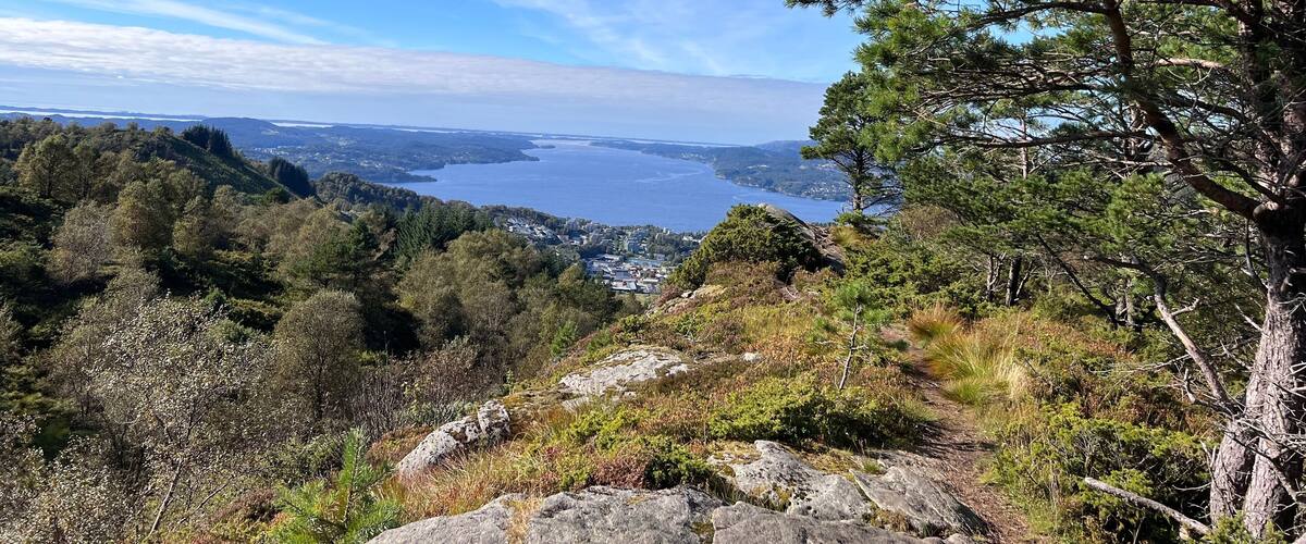 A coastal landscape with a clear sky, dense forest, rocky terrain, and a view of the sea.