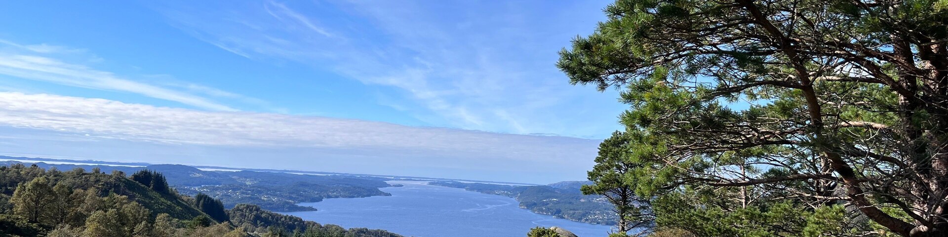 A coastal landscape with a clear sky, dense forest, rocky terrain, and a view of the sea.