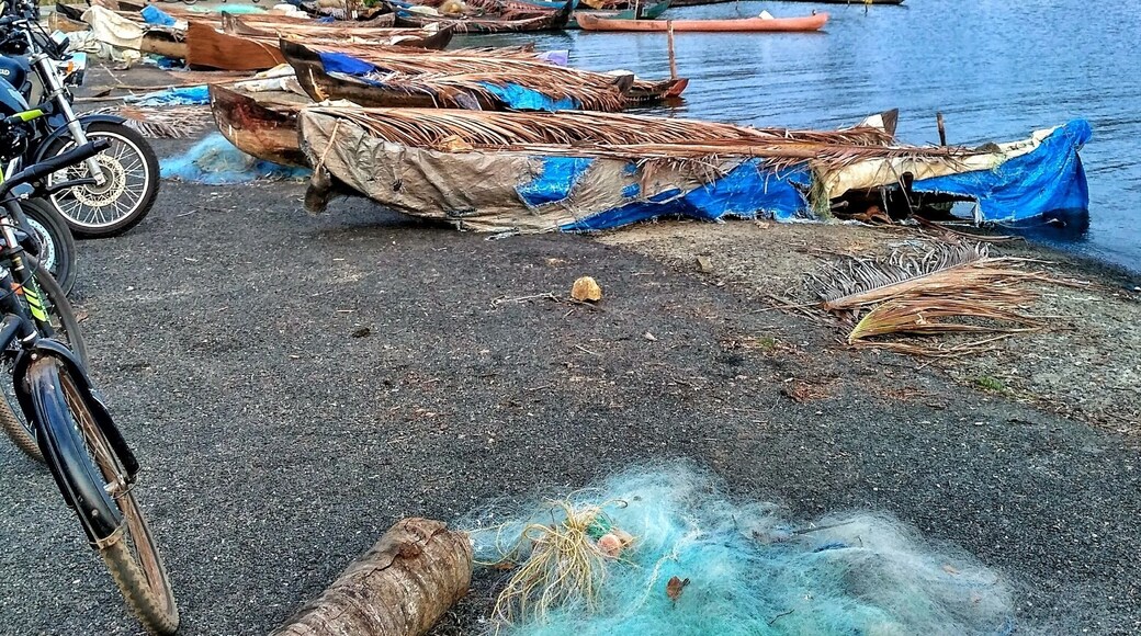 Close to the famous Mullpanthal Toddy Shop, there is this spot where we can just go and chill after a filling meal and drinks at the Toddy Shop. Time tends to stand still at this beautiful spot were the backwaters merge with the land. This is lands end and we it's covered by water on three sides. As you sit here watching the bewitching sunset, you wouldn't want anything else!