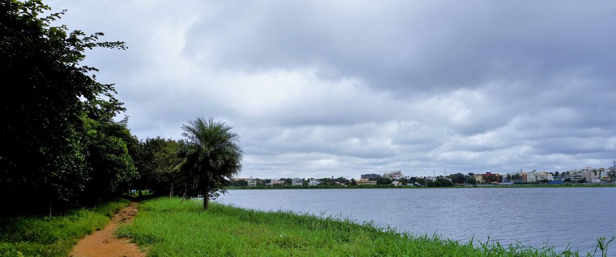 Landscape Scenic Beautiful lush green cover walking lane lake view in BTM or Madiwala