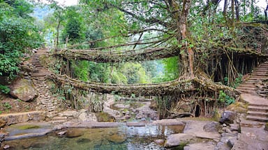 Un puente natural sobre un arroyo rodeado de vegetación exuberante y escalones de piedra.