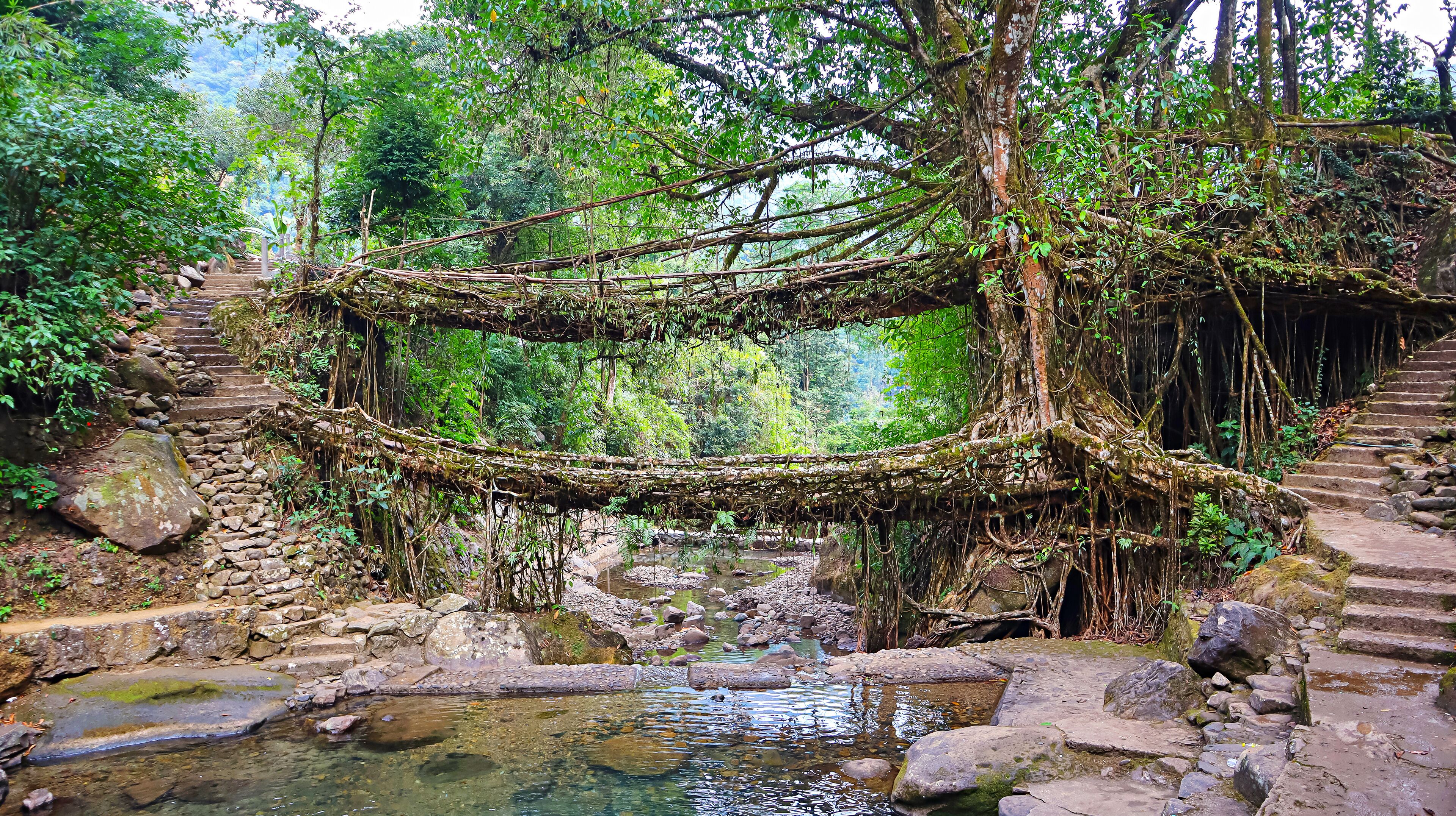 A natural bridge over a stream surrounded by lush greenery and stone steps.