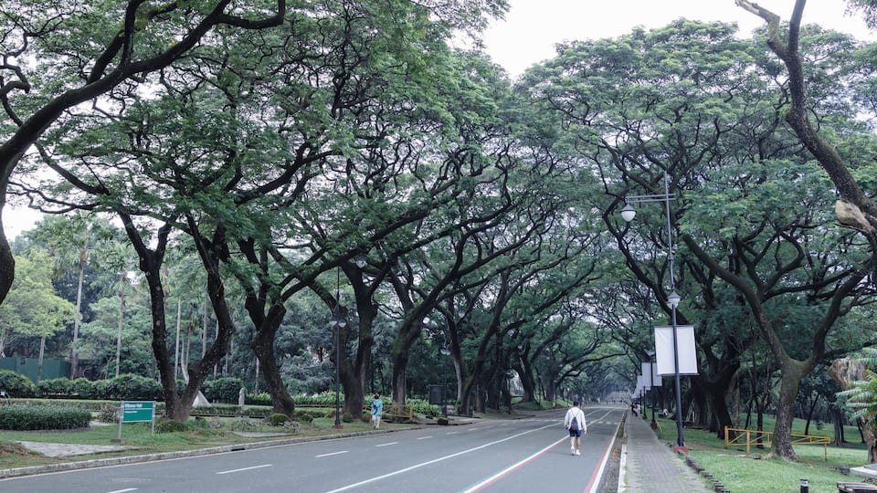 People who visit for enjoy weekend the University of Philippines Diliman , Quezon City, Metro Manila , Philippines