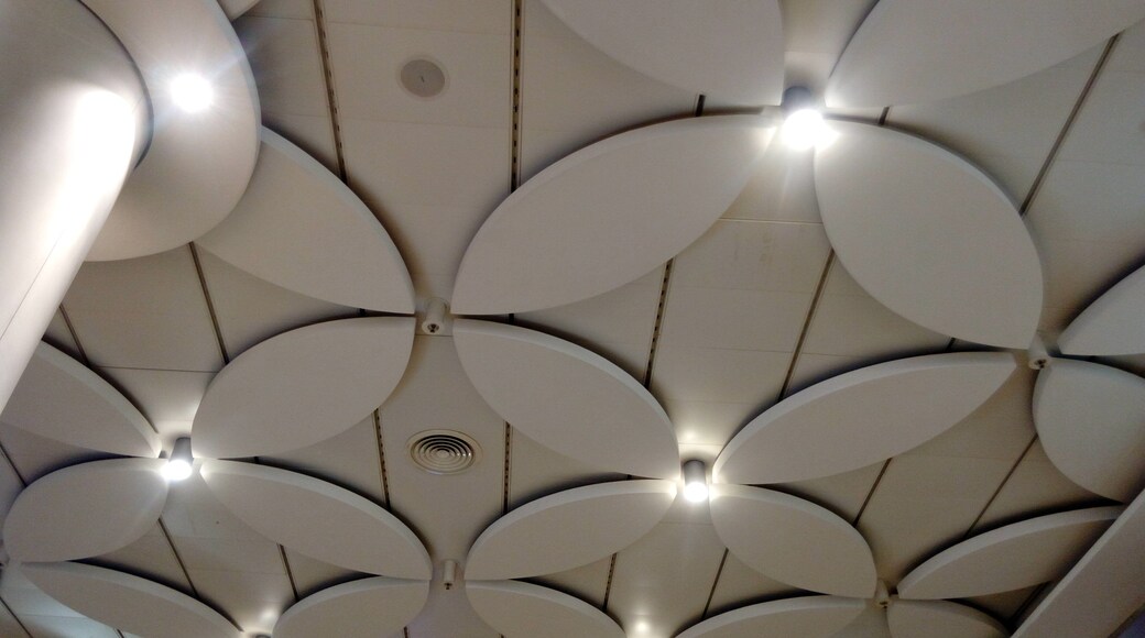 Gypsum false ceiling with flower petal design interiors at mumbai airport located at India and painted using Emulsion white paint