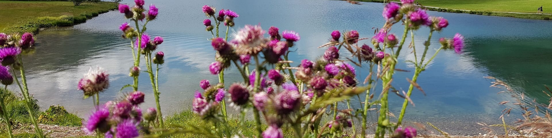 Amazing place to de-stress! Just outside of St Moritz.