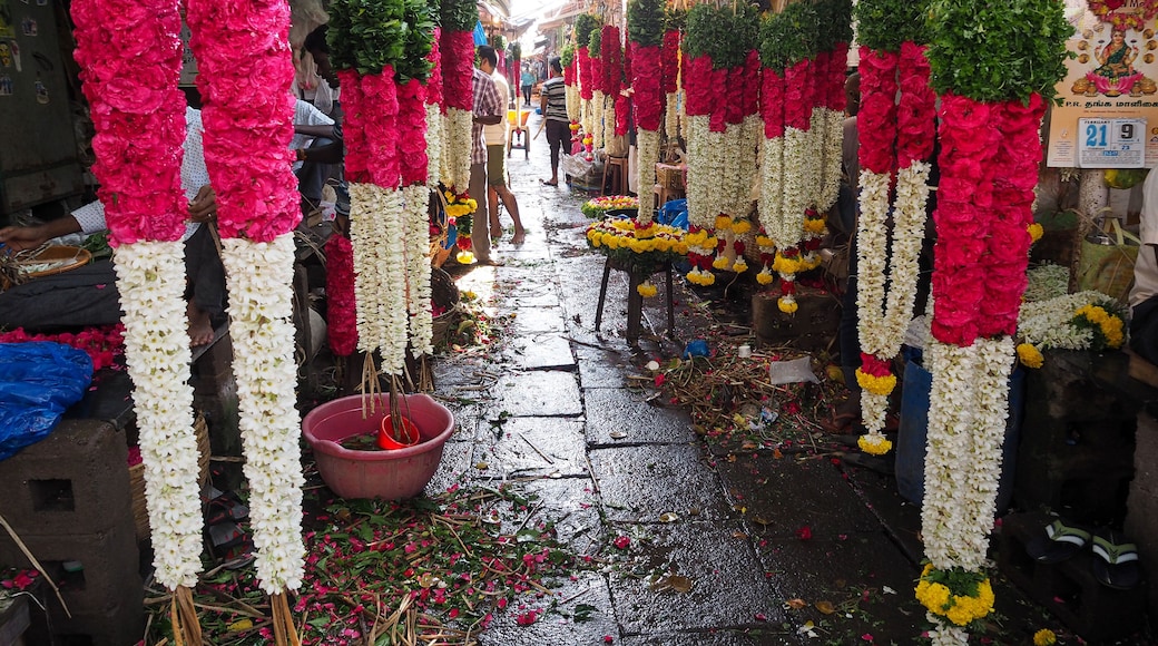 พอนดีบาซาร์