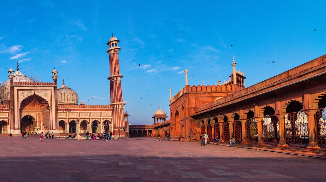 Day trip to Jama Masjid, Old Delhi, Chandni Chowk, India