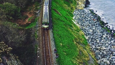 Un treno che percorre una linea costiera con terreno roccioso e vegetazione.