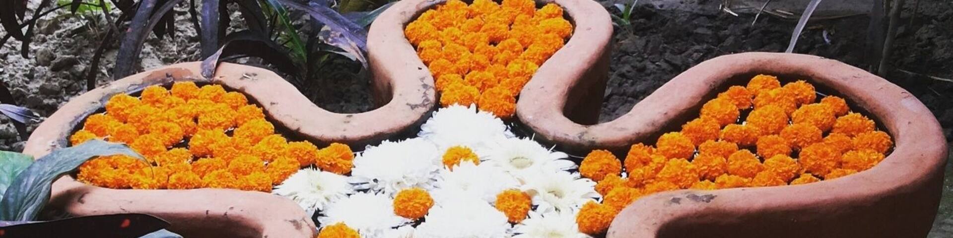 Marigold love! #VedicVillage #Kolkata #IncredibleIndia