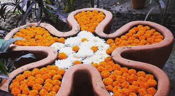 Vedic