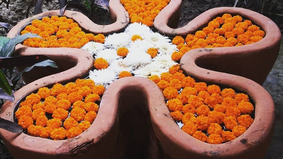 Marigold love! #VedicVillage #Kolkata #IncredibleIndia