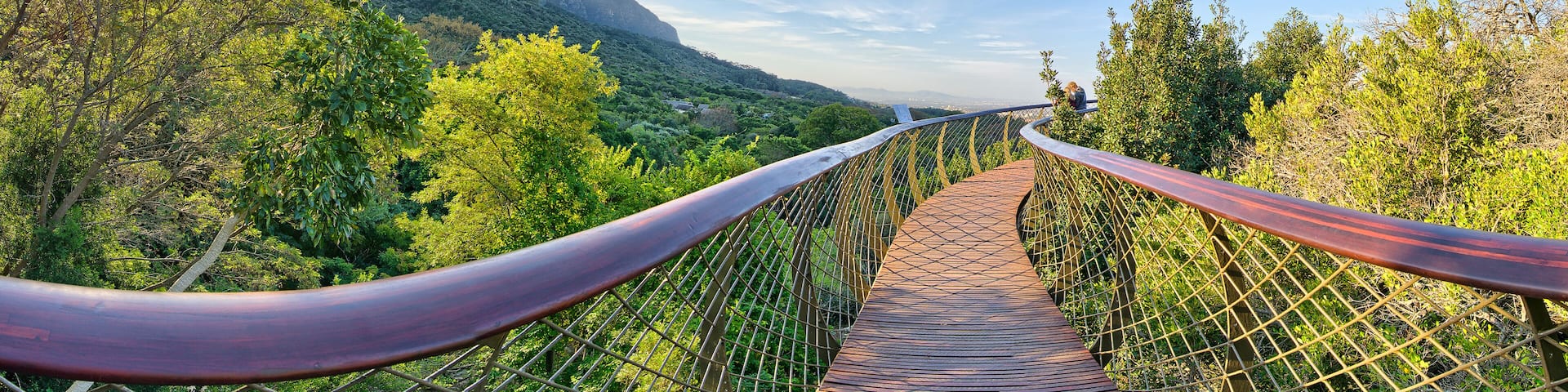 Kirstenbosch National Botanical Garden in Cape Town South Africa