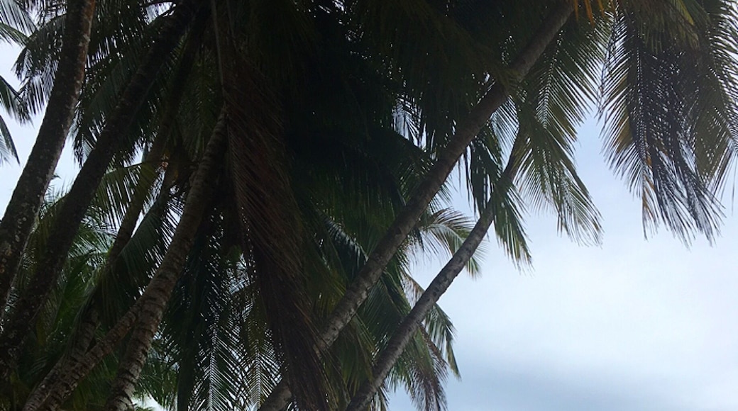 A beautiful and unexplored beach un #nicaragua!! 😎☀️ #blue #beach
#Goldenhour
#BeachBound
#waterlust
#LifeatExpedia
#caribbean
