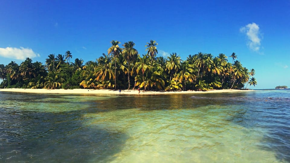 A tropical island with clear turquoise waters and dense palm trees.