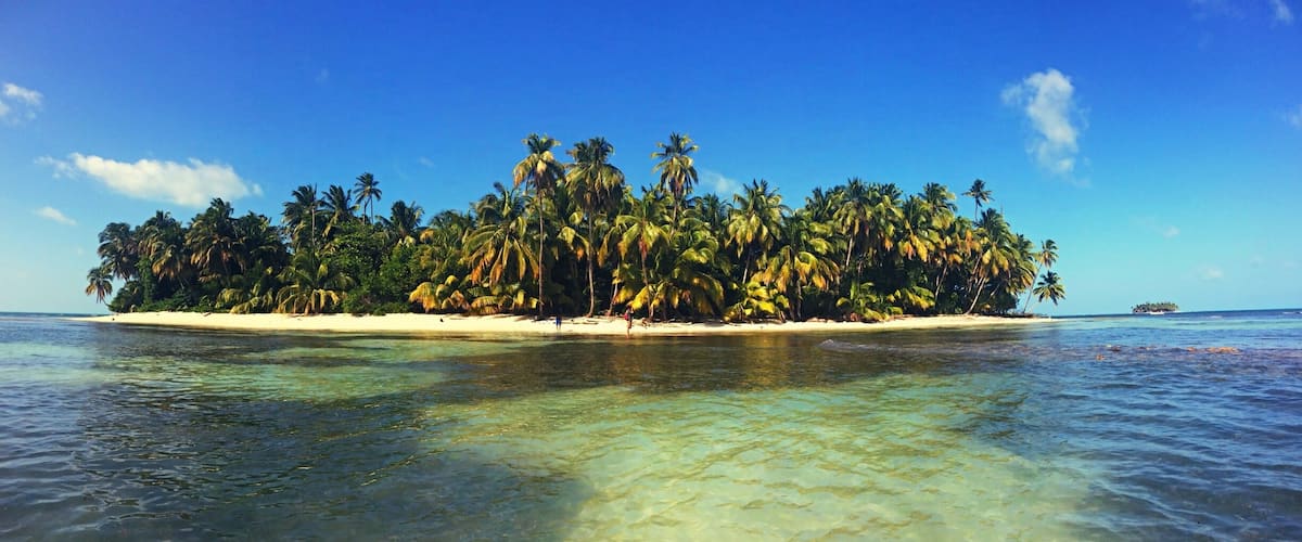 A tropical island with clear turquoise waters and dense palm trees.