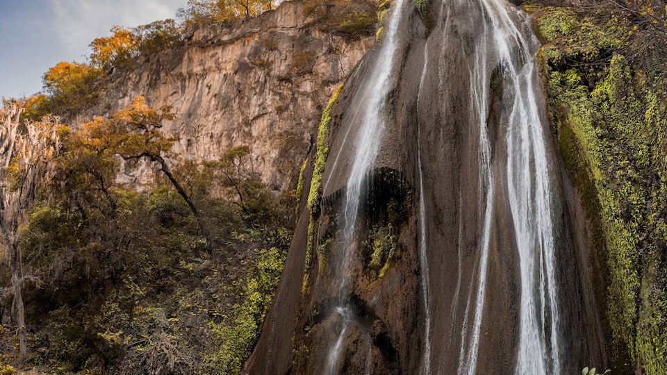 A waterfall cascading down a rocky cliff into a calm pool surrounded by autumn-colored trees.