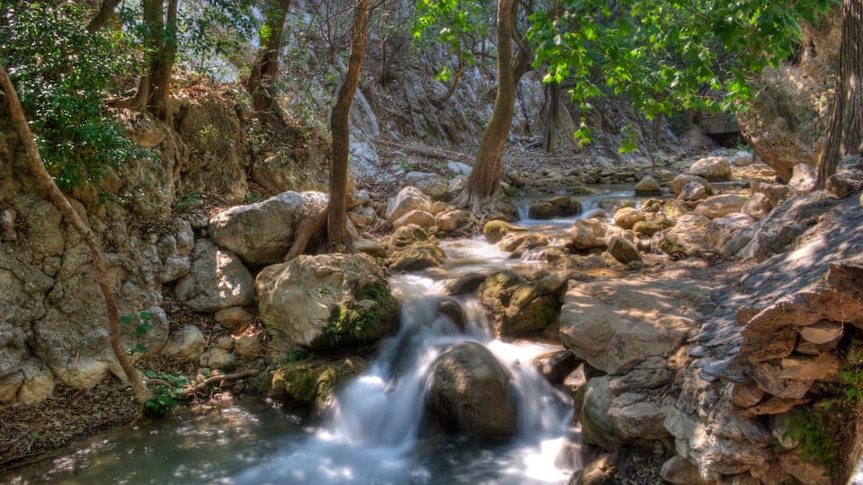 A rocky stream with flowing water surrounded by trees and vegetation.