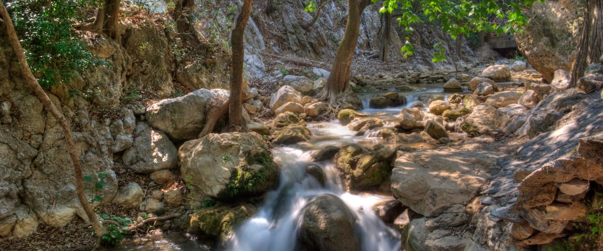 A rocky stream with flowing water surrounded by trees and vegetation.