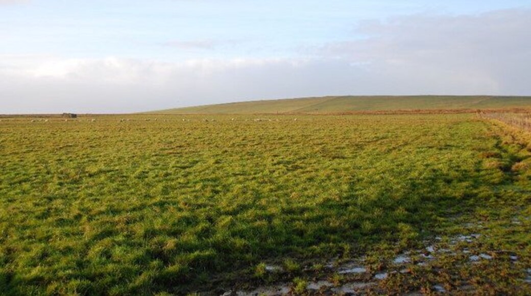 Abandoned crofthouse Looking in a westerly direction over rough grazing. On the skyline to the right of the abandoned crofthouse, can be seen the trig point on Hamly Hill.