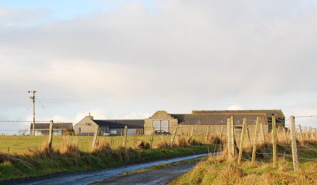 Quoykea Farm Looking northwest, up the farm track.