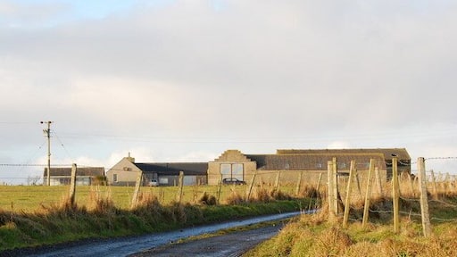Quoykea Farm Looking northwest, up the farm track.
