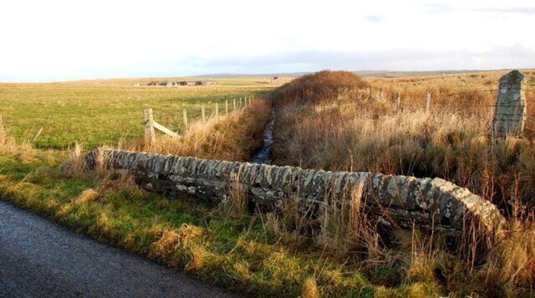 Bridge and burn. Looking eastwards along the burn.