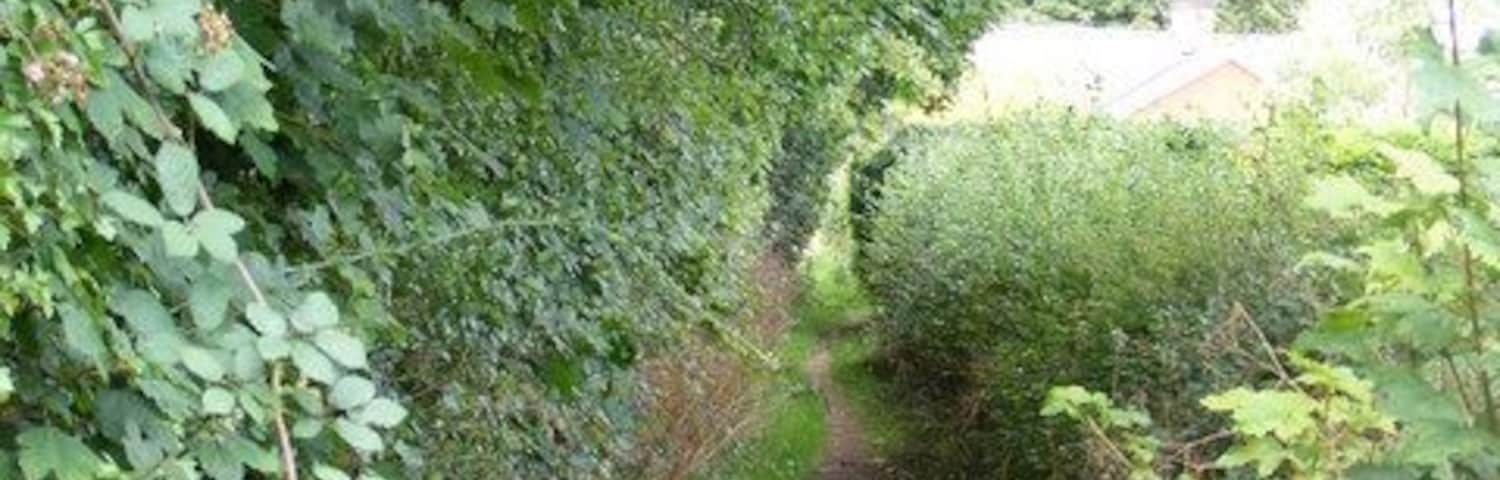 The Icknield Way As it enters Cheveley from Ashley.