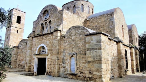 Absolutely Stunning building inside and out. Also Beautiful grounds to walk around.
#StBarnabas #Mediterranean
#lifeatexpedia
#monastery
#green
#cyprus
#StunningStructure
#Architecture #History
