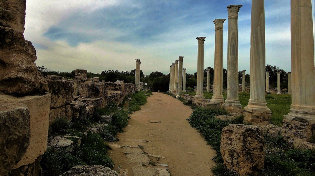 #Salamis is an #Ancient Greek city in #Cyprus, nicely maintained #ruins to walk around.
#Mediterranean #lifeatexpedia #green
#cyprus #Blue #GoldenHour #Parks #History