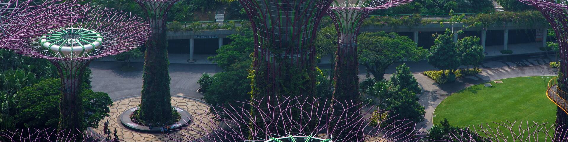 Singapore SEO Uploads