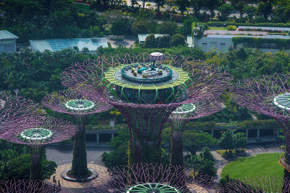 A botanical garden with large, tree-like structures and a circular walkway.