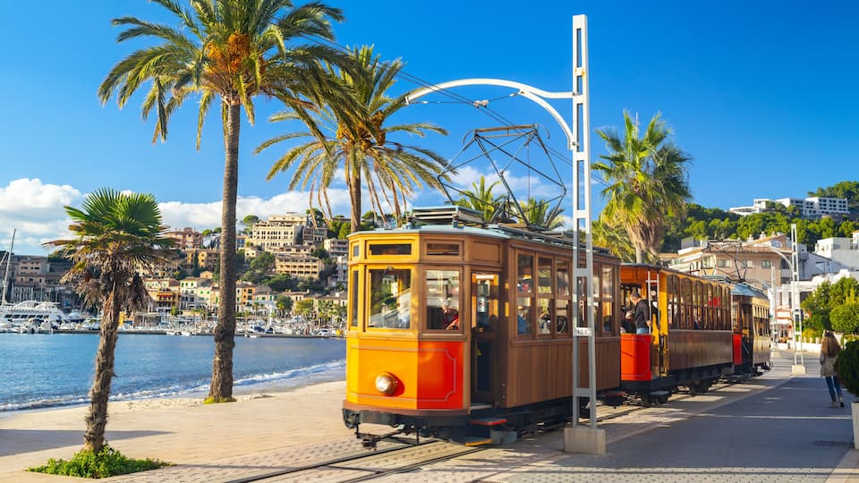 A seaside tram with palm trees and a clear blue sky.