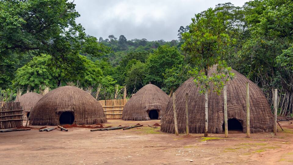 Thatched huts in a forested area.