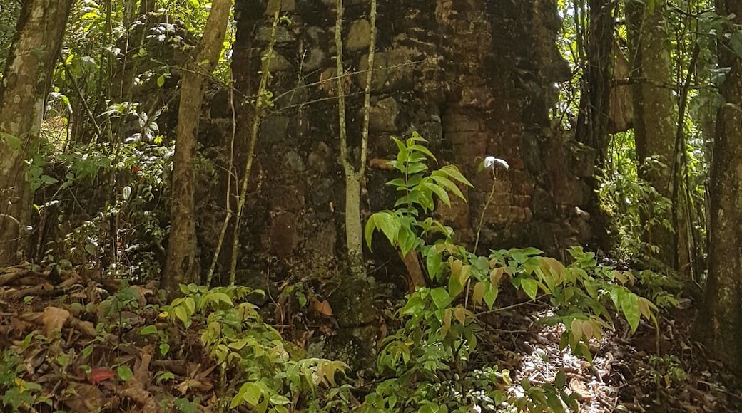 Impressive cimney belonging to the more recent works of the sugar factory at Adelphi Estate.