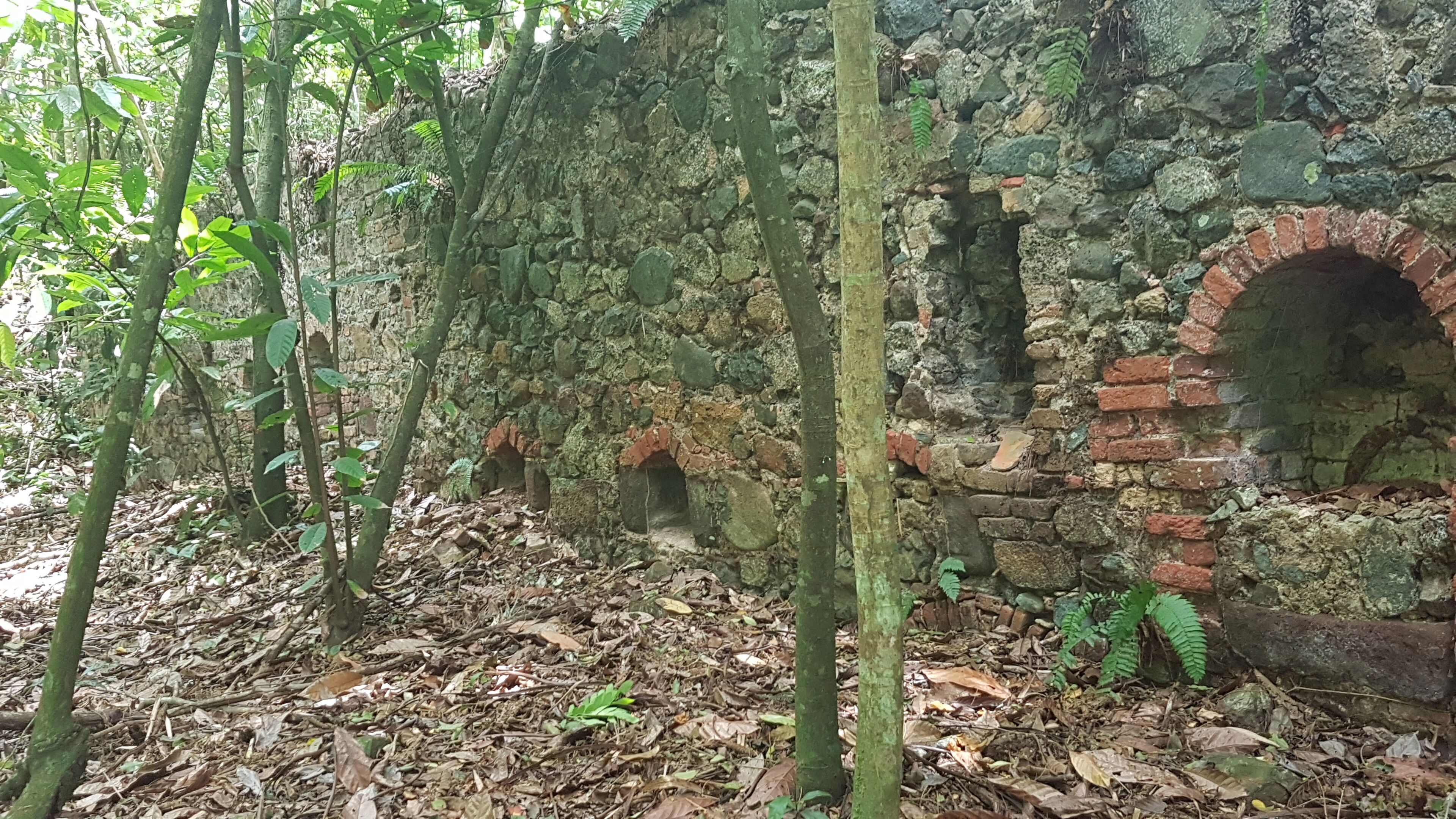 A stone wall with arched openings and a brick archway surrounded by dense forest.