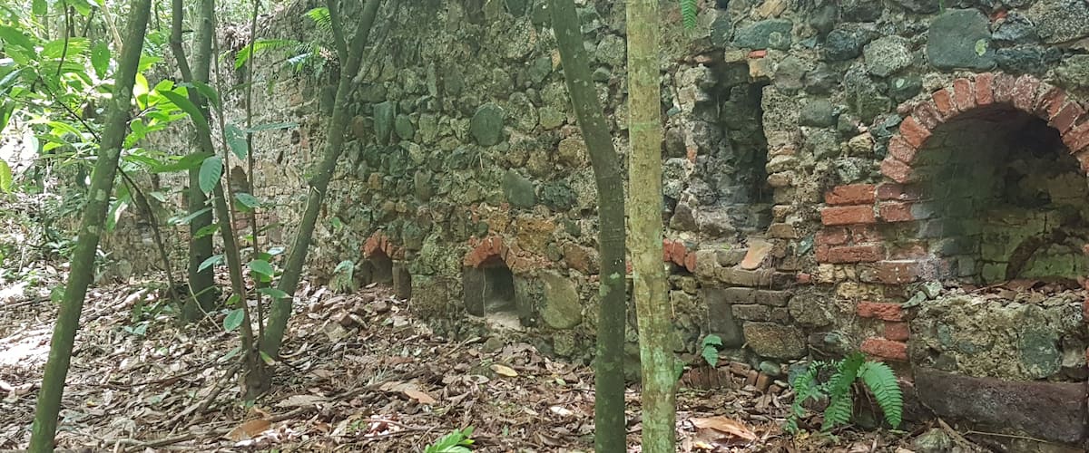 A stone wall with arched openings and a brick archway surrounded by dense forest.