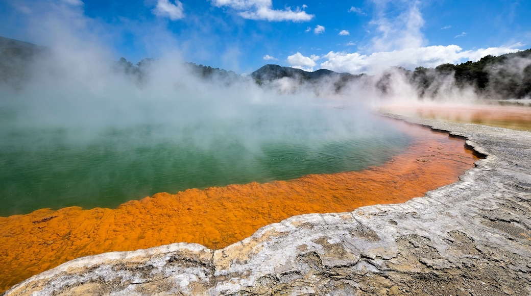 rotorua lake