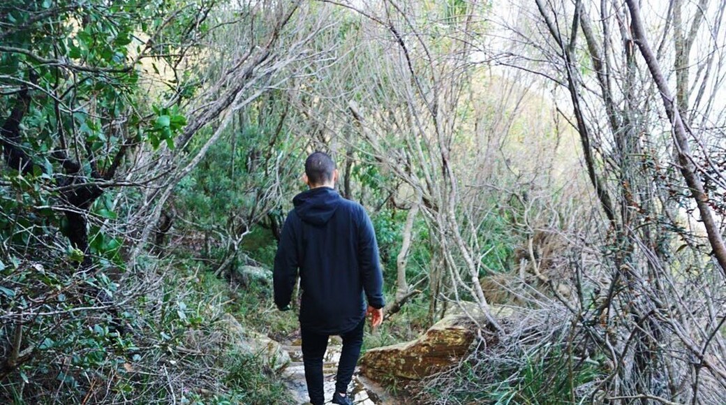 Bouddi National Park.