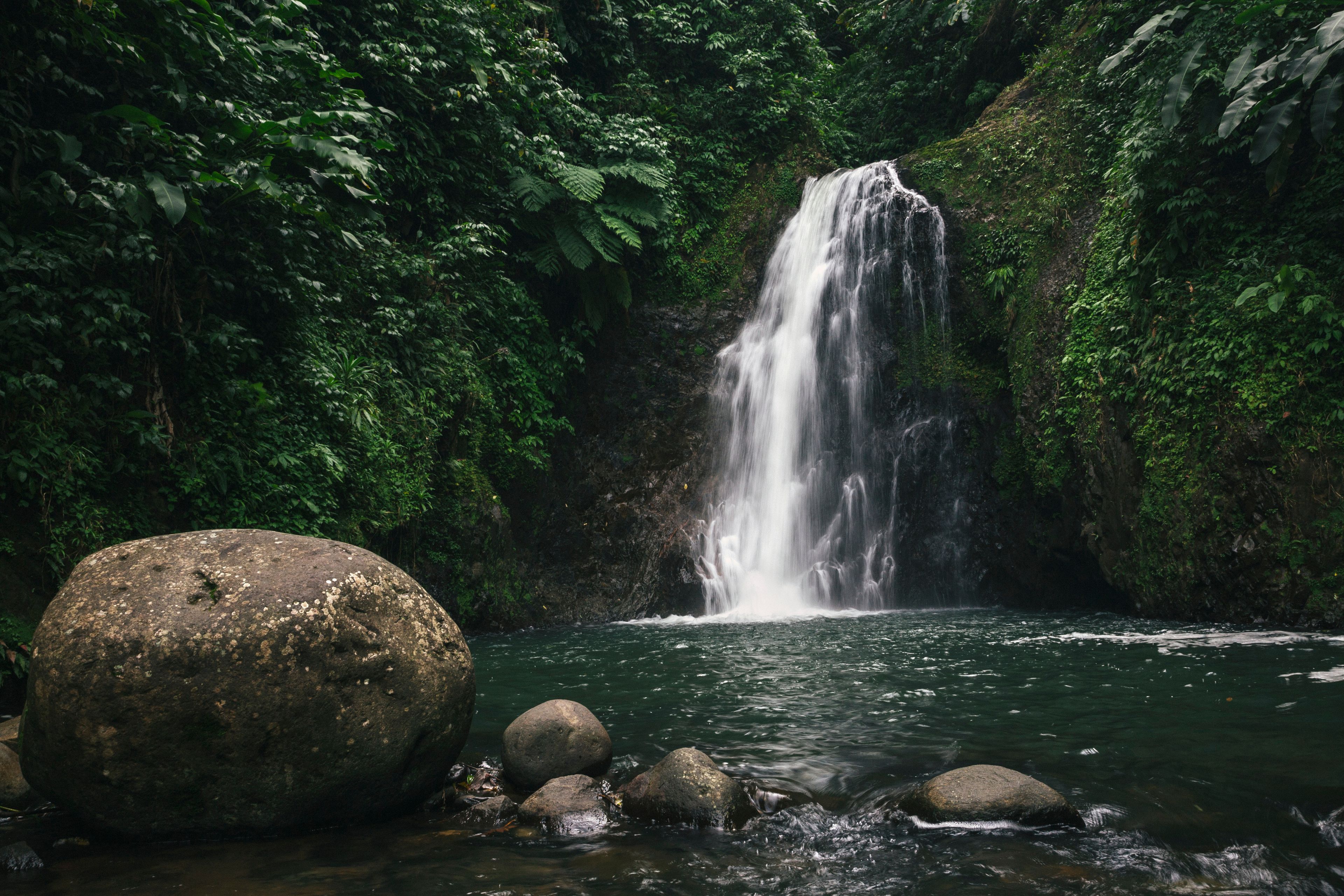 Seven Sisters Waterfalls surrounded by lush vegetation with large boulders in the plunge pool in Grand Etang National Park; Grand Etang National Park & Forest Reserve, Grenada, Caribbean