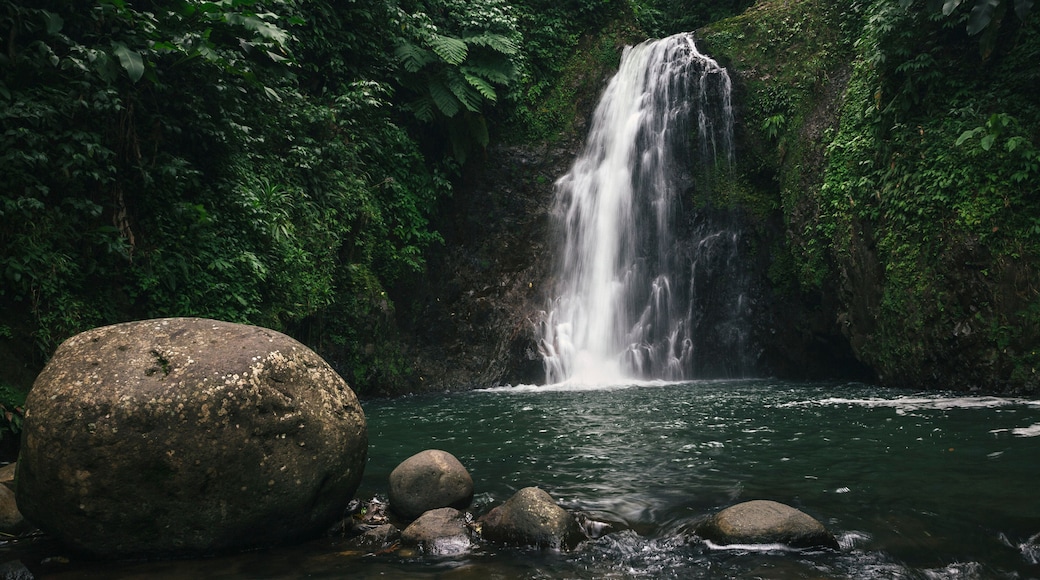 A waterfall cascading into a river surrounded by lush greenery and large rocks.