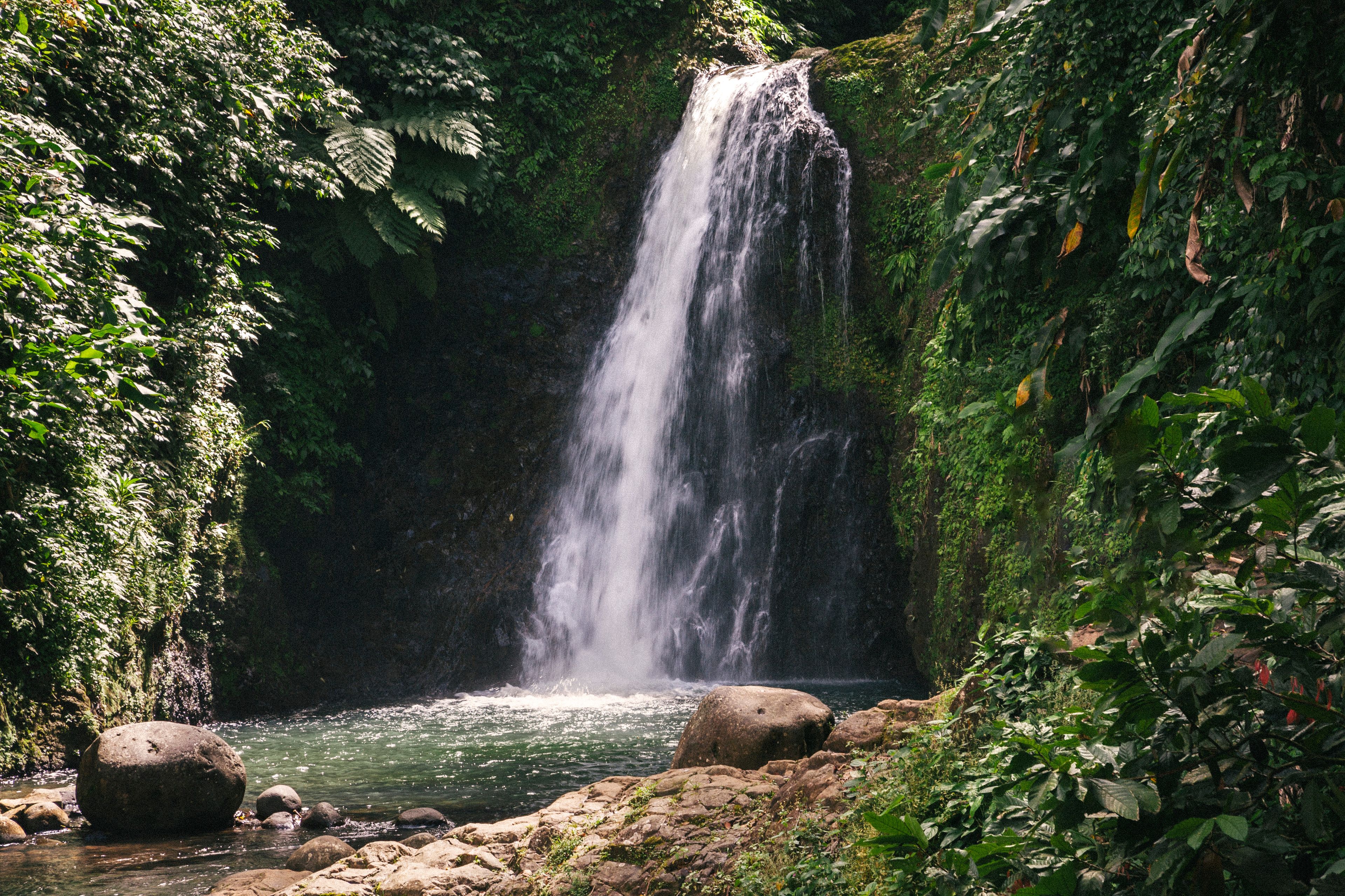 A waterfall cascading into a river surrounded by lush greenery.